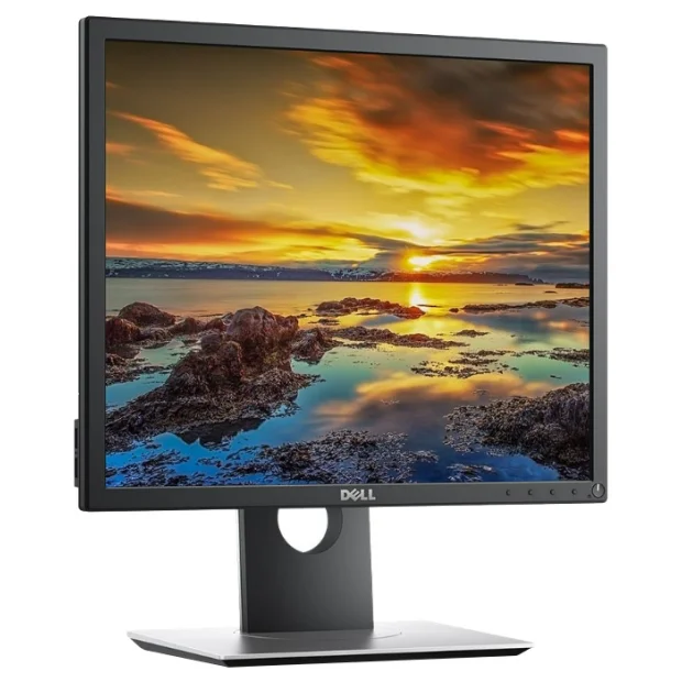 Монитор Dell P1917S